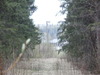 Harri Pesonen, Vanha 20kV johto aukea jossa menee nykyisin maakaapeli., 16.05.2011