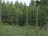 Janne Määttä, Kolminkertainen pystykulma. , 22.07.2012
